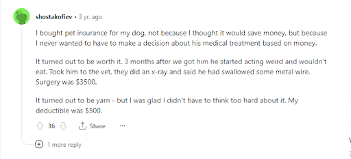 image of how pet insurance work