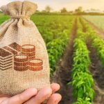 Agricultural Investment